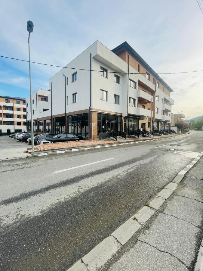 Apartament Yra Rm.Valcea Râmnicu Vâlcea Екстериор снимка